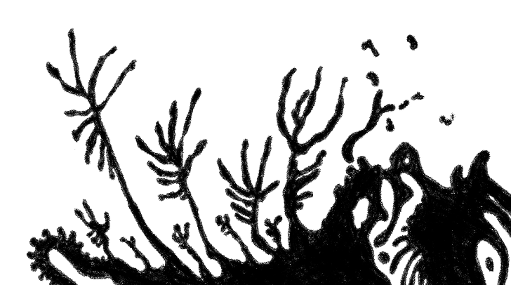 Original imago meri membership artwork